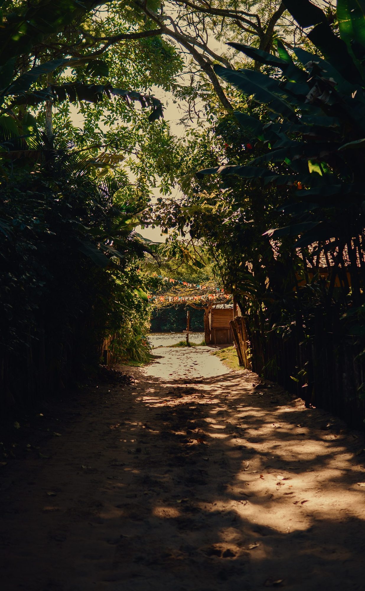 Caminhada até a praia